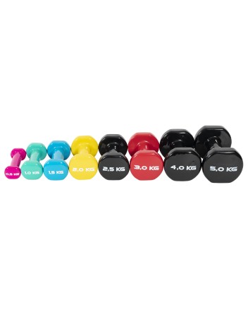vinyl-dipped-dumbells-pvc-1.jpg